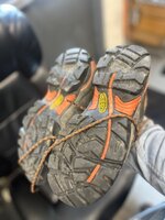 IMG_3698.jpeg