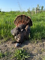 IMG_4895.jpeg