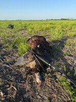 IMG_4893.jpeg