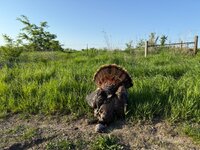 IMG_4896.jpeg