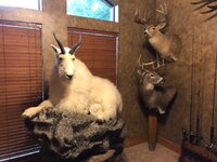 IMG_4997.jpeg