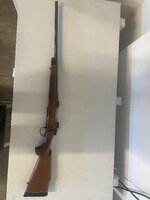 IMG_9885.jpeg