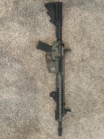 IMG_2687.jpeg