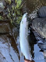 IMG_4823.jpeg