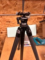 IMG_1665.jpeg