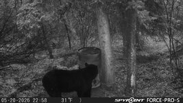 IMG_3258.jpeg