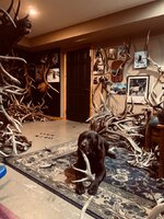 IMG_1757.jpeg