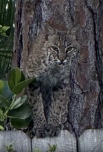 IMG_3613.jpeg