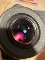 IMG_7107.jpeg