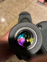 IMG_7108.jpeg
