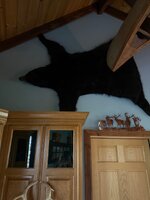 IMG_7907.jpeg