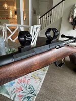 IMG_3818.jpeg