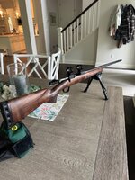 IMG_3815.jpeg