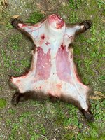 IMG_3404.jpeg