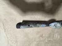 IMG_7982.jpeg