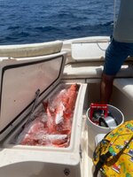 IMG_1686.jpeg
