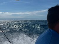 IMG_1669.jpeg