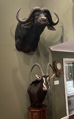 IMG_9125.jpeg
