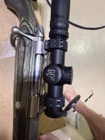 IMG_1238.jpeg