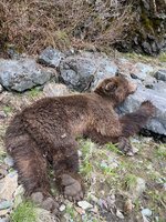 IMG_2526.jpeg