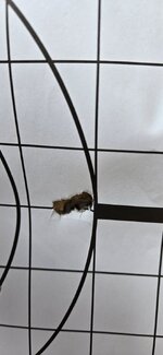 20250523_180659.jpg