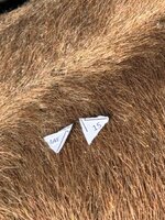 IMG_6399.jpeg