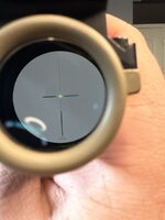 IMG_502.jpeg