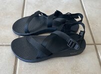 IMG_1746.jpeg