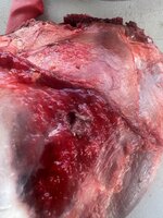 IMG_0063.jpeg