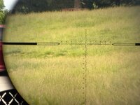 IMG_0356.JPEG