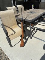 IMG_3903.jpeg