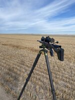 IMG_6483.jpeg