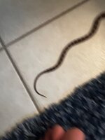 IMG_1853.jpeg