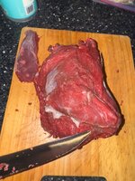 IMG_0461.jpeg