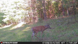 IMG_6569.jpeg