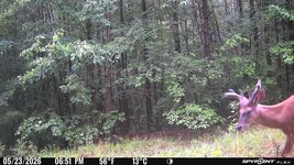 IMG_6578.jpeg