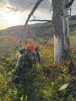 IMG_9591.jpeg