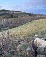 IMG_9585.jpeg