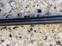 IMG_8243.jpeg