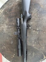 IMG_3833.jpeg