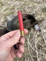 IMG_0189.jpeg