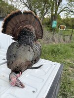 IMG_0221.jpeg