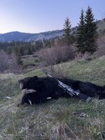 IMG_3420.jpeg
