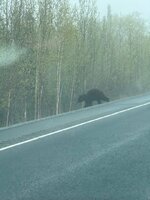 IMG_6677.jpeg