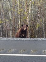 IMG_6678.jpeg