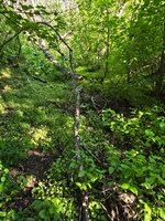 20260517_182204.jpg