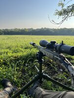 IMG_7592.jpeg