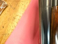 IMG_6365.jpeg