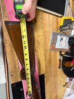 IMG_6364.jpeg