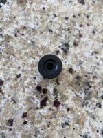 IMG_7918.jpeg